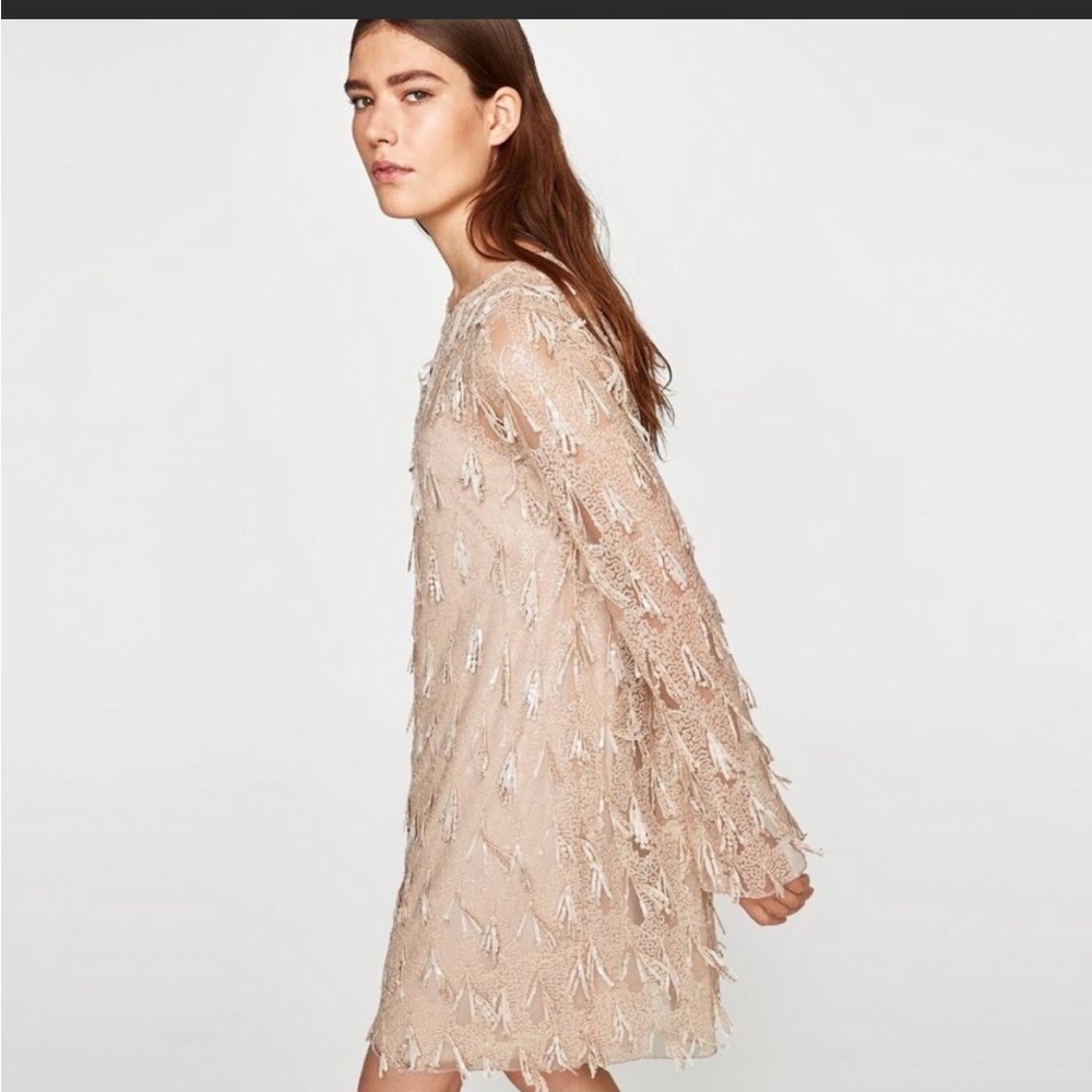 Zara Beige Lace Tassel Mini Dress
